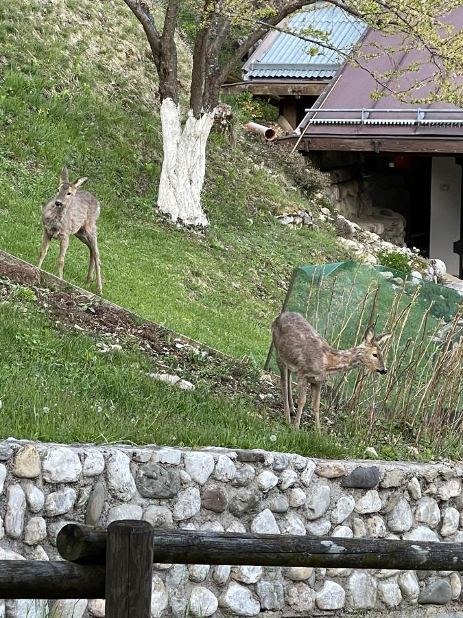 Venas Appartamento In Montagna מראה חיצוני תמונה